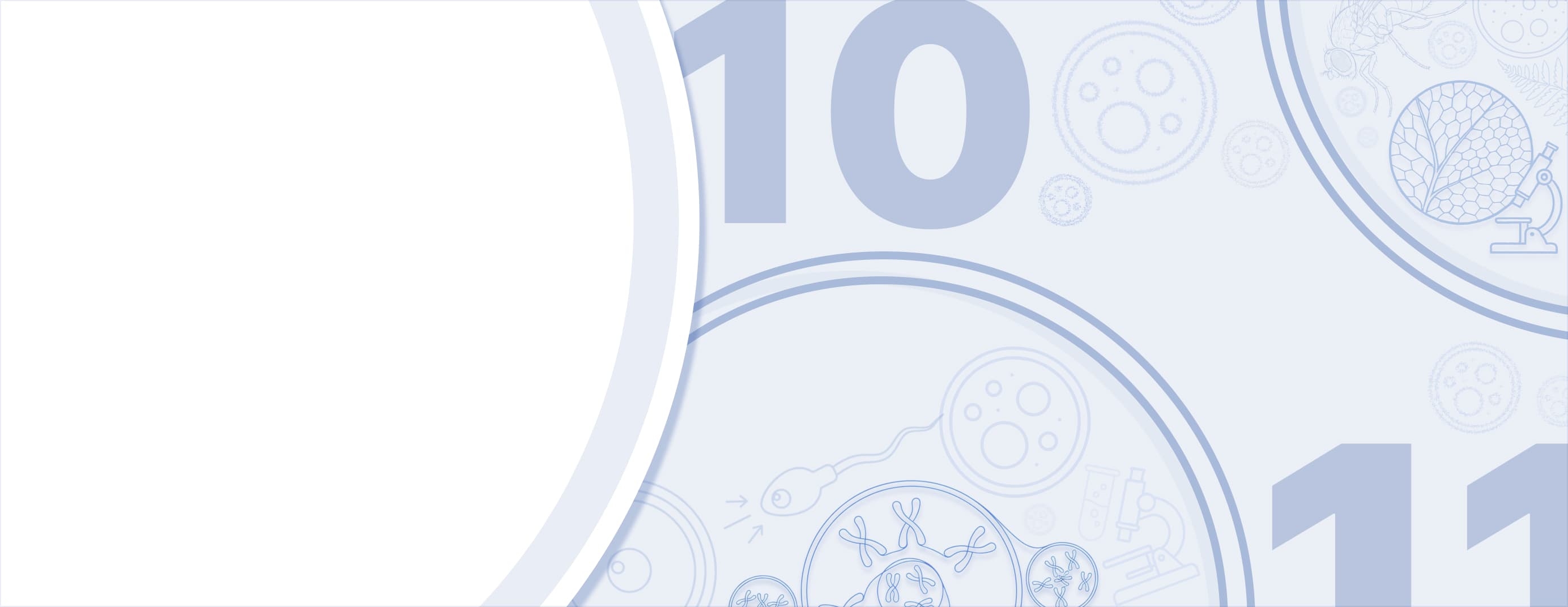 НАША ЛАБА.ШКОЛА