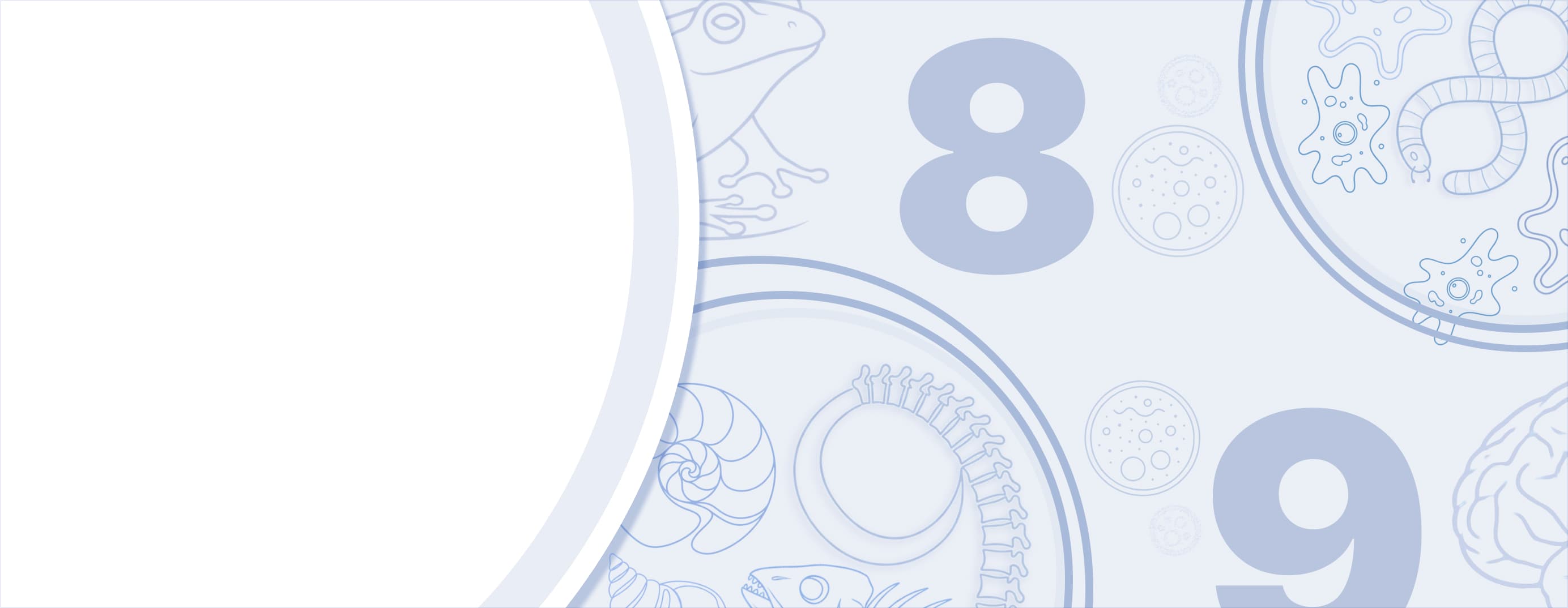 НАША ЛАБА.ШКОЛА